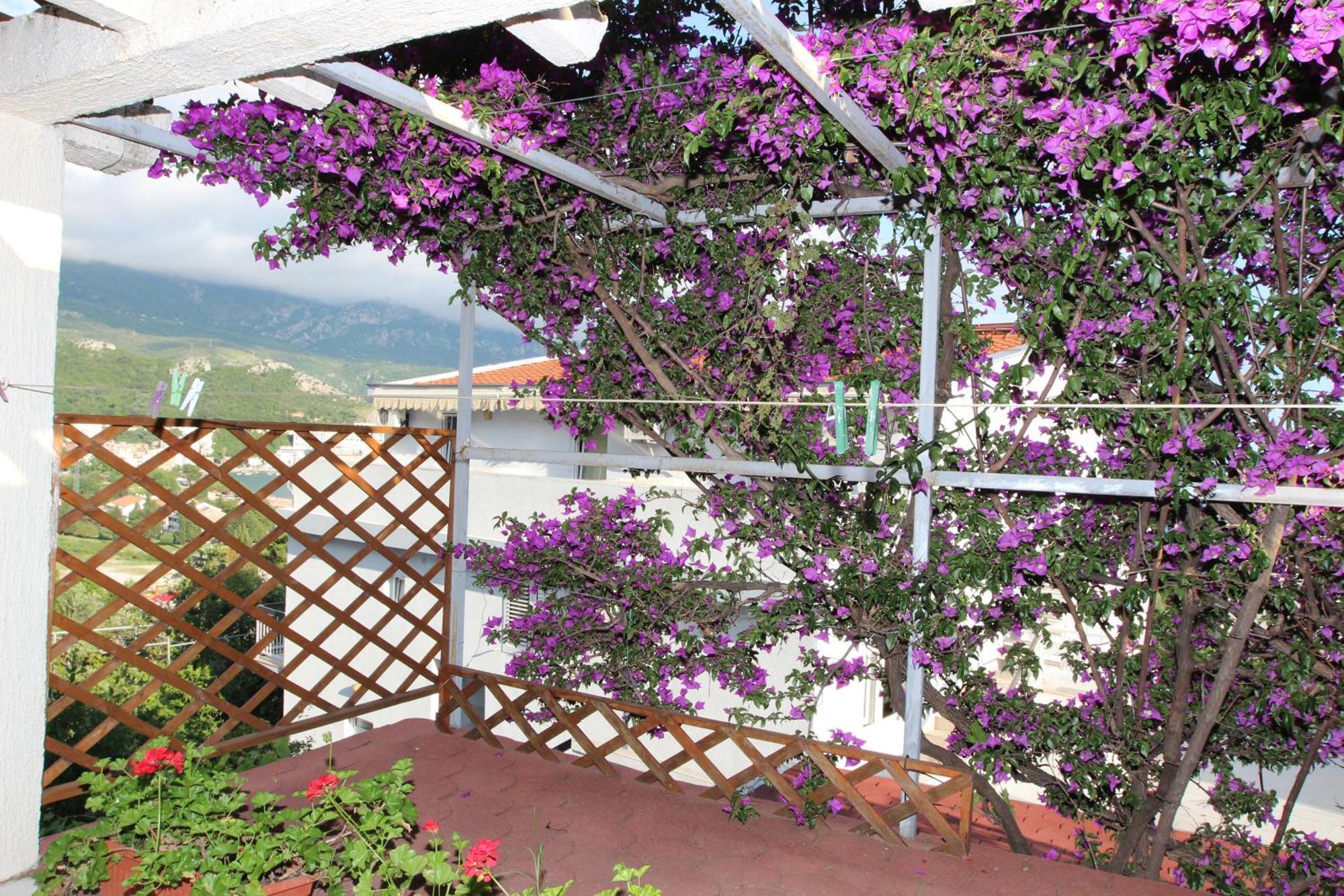 Apartment Sandra Budva Quarto foto